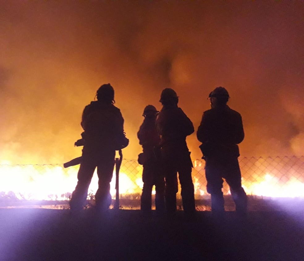 Concurso do Corpo de Bombeiros de Minas Gerais abre inscrições nesta segunda-feira (7). — Foto: Corpo de Bombeiros