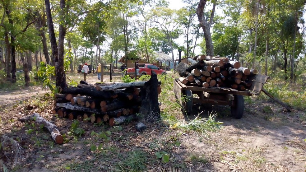 Toras de madeira tambm foram apreendidas e levadas para a aldeia (Foto: Pedro Kanela/Arquivo Pessoal)