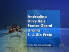 Região tem 5 cidades em emergência por causa do Aedes aegypti