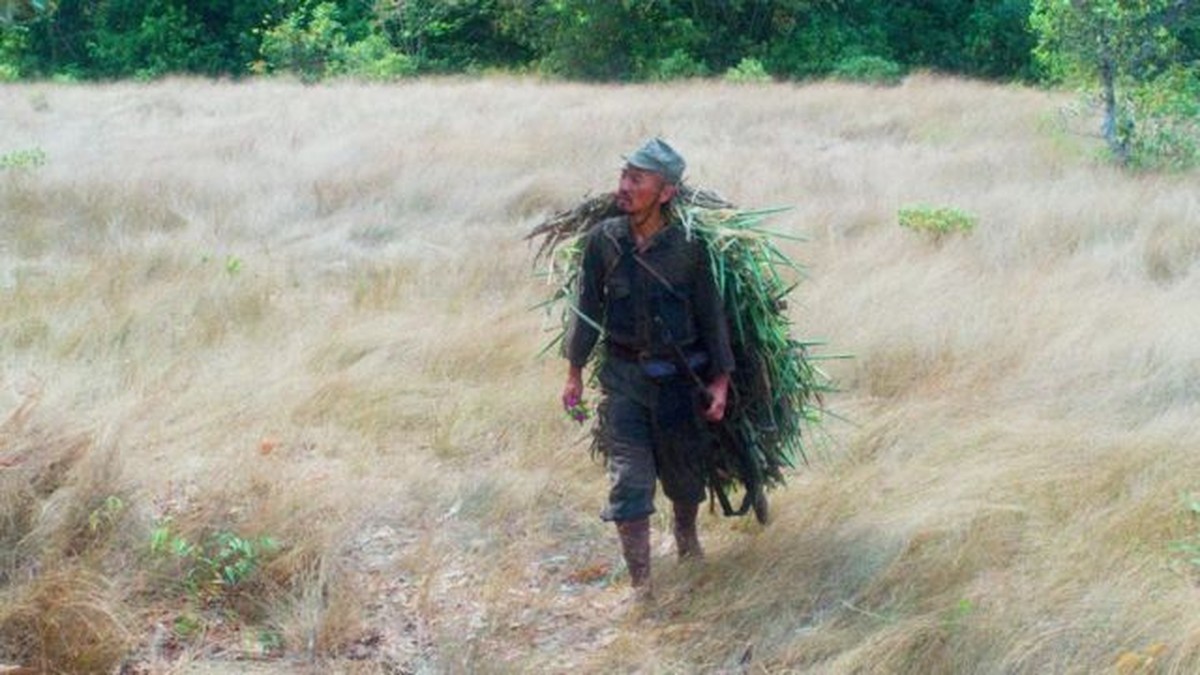 A incrível história do japonês escondido na selva por 30 anos sem saber do fim da 2ª Guerra | Cinema