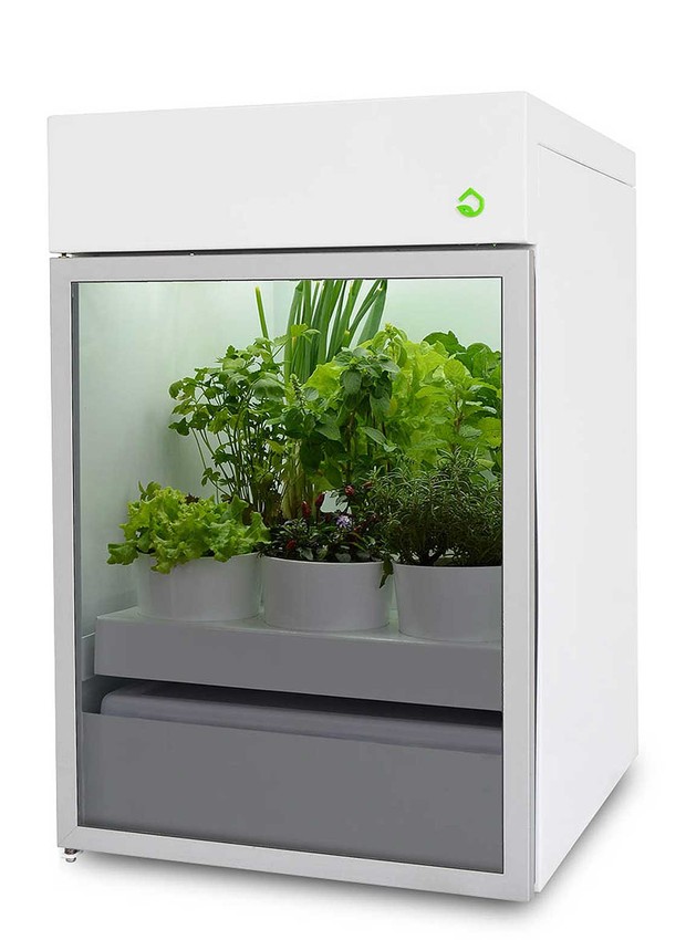 A empresa Plantário produz uma linha de eletrodomésticos para criar hortas orgânicas dentro de casas e apartamentos, com design minimalista (Foto: Reprodução / Plantário)
