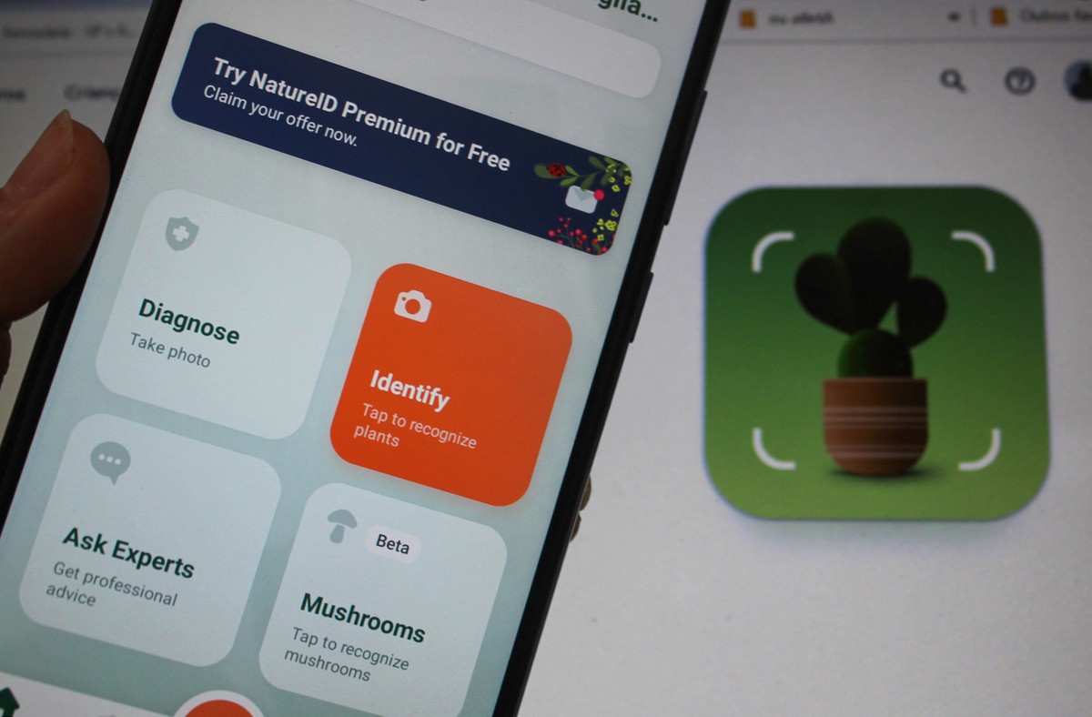 NatureID identifica e ajuda a cuidar das plantas: saiba usar o app