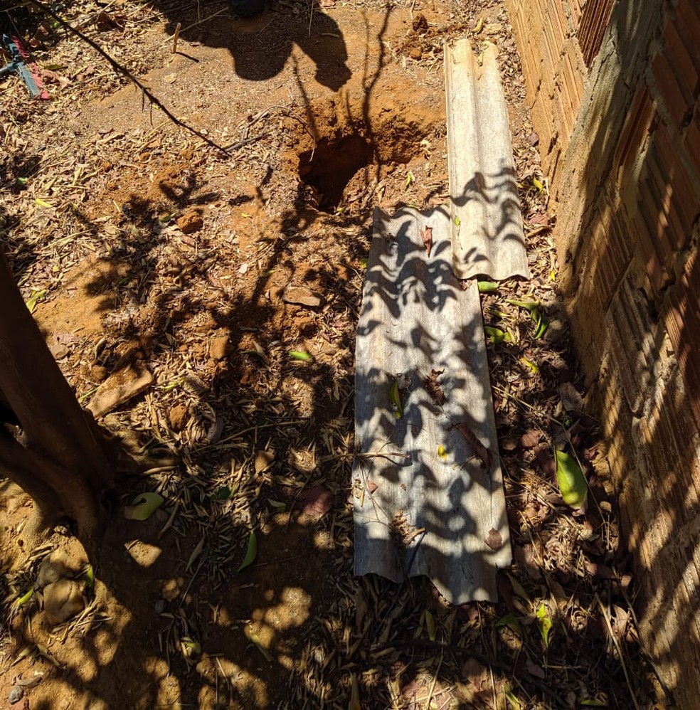 A droga estava enterrada no quintal da casa em Paulistana — Foto: Divulgação/PM-PI