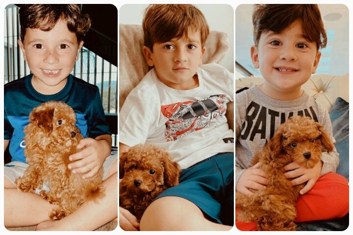Mateo, Thiago e Ciro Messi com o novo cãozinho da família, Abú (Foto: Reprodução/Instagram)