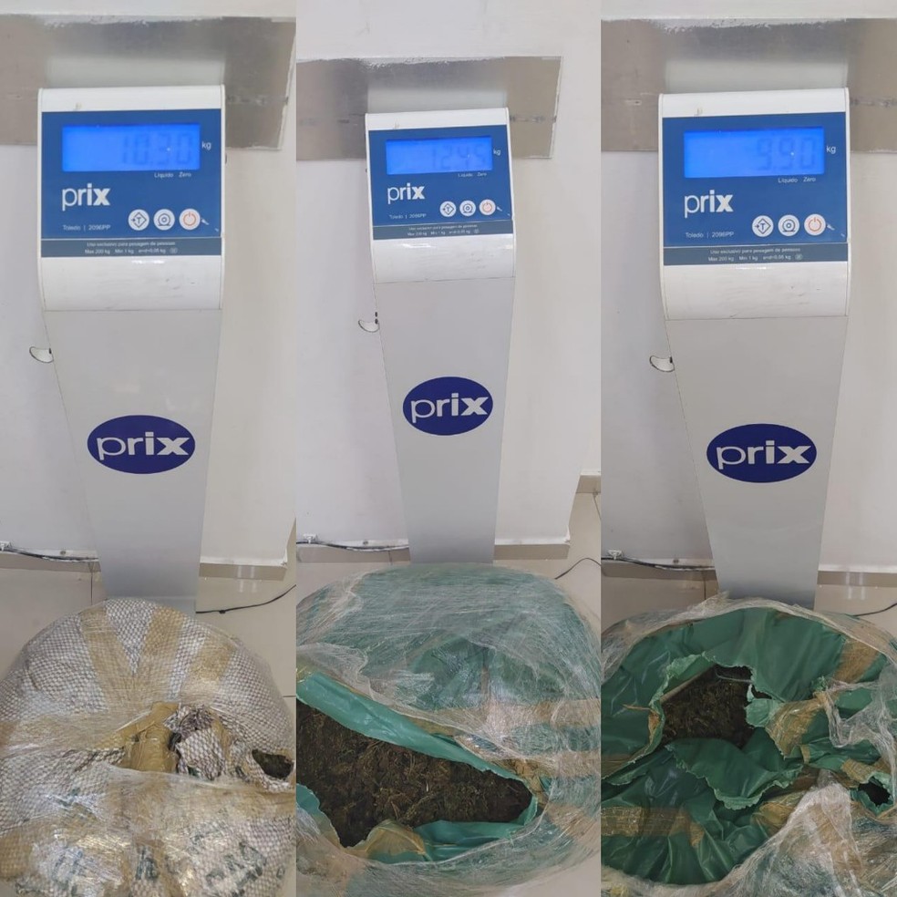 Bope prende homem e apreende 31 kg de maconha em Marechal Deodoro, Alagoas — Foto: Ascom/PM