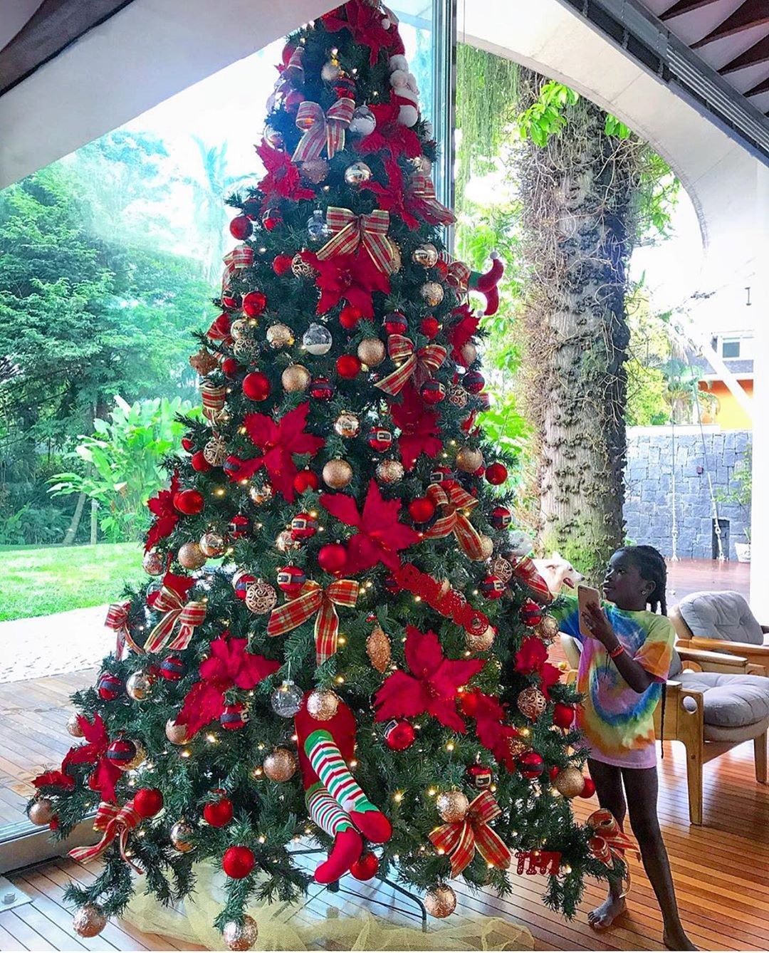 Titi com a árvore de Natal (Foto: Reprodução)
