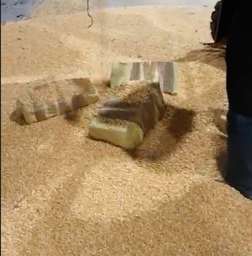 Operação da PF apreende carregamento de cocaína em navio no porto de São Sebastião, SP — Foto: Divulgação/ Polícia Federal