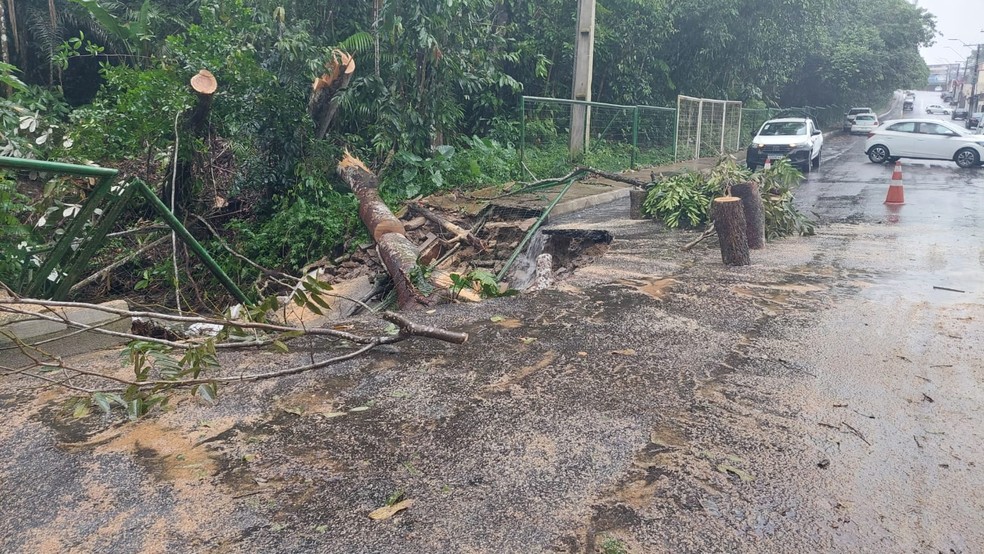 Cratera se abriu após árvore cair em via em Manaus. — Foto: Laerte Baraúna/Rede Amazônica