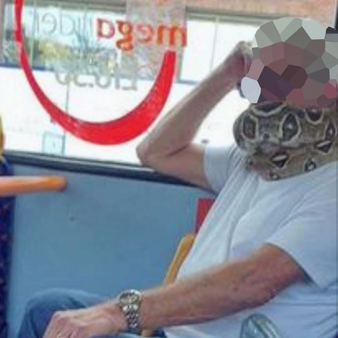 Passageiro é flagrado usando cobra como máscara (Foto: Reprodução)