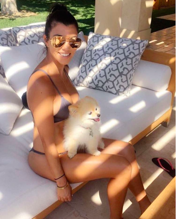 A celebridade Kourtney Kardashian com seu cãozinho (Foto: Instagram)