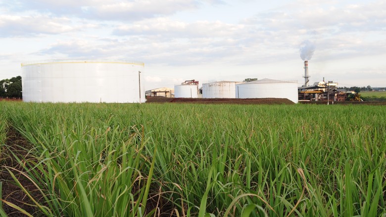 cana-etanol-biocombustivel-açúcar (Foto: Ernesto de Souza/Ed. Globo)
