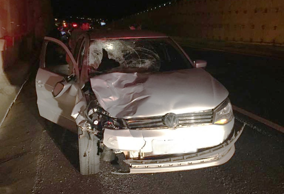 Atropelamento foi na Rodovia Comandante João Ribeiro de Barros (SP-294), em Dracena (Foto: Mariane Santos/TV Fronteira)