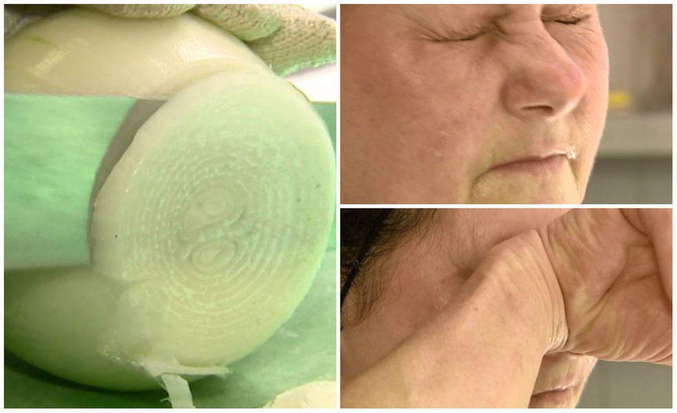 Nova variedade de cebola não causa ardência nos olhos (Foto: Reginaldo dos Santos/ EPTV)