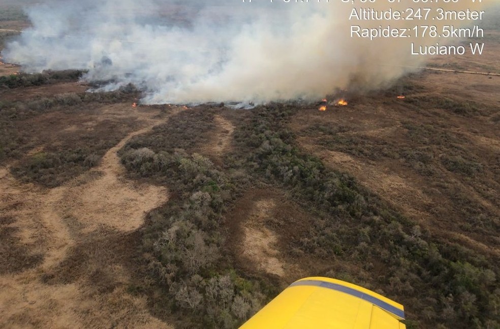 Aeronave dá apoio no combate a incêndio no Pantanal de MT — Foto: Corpo de Bombeiros