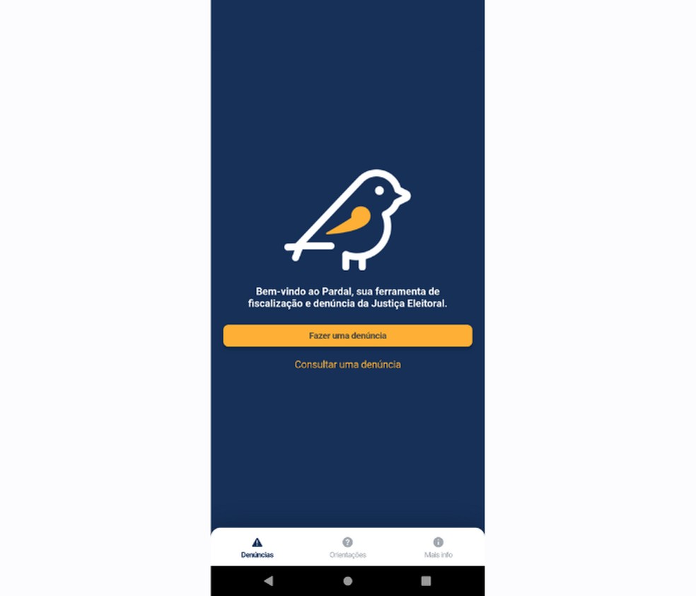 Desenvolvido pela Justiça Eleitoral, aplicativo Pardal tem o objetivo de registrar abusos e práticas eleitorais irregulares — Foto: Reprodução/Mariana Tralback 