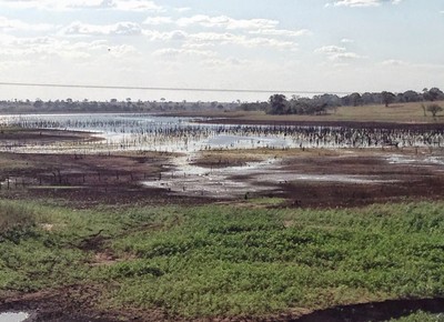 agricultura_rioparana_noroeste_paulista_estiagem (Foto: Reprodução/Canal da Área de Hidráulica e Irrigação da Unesp Ilha Solteira)