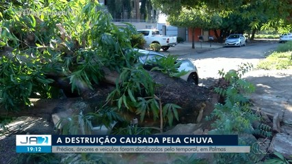 Prédios, árvores e veículos são danificados por temporal rápido na capital