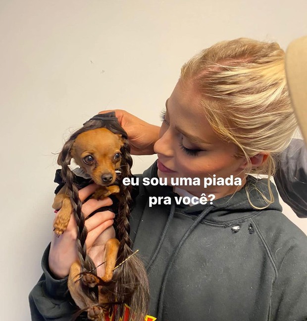 Foto compartilhada pelo perfil de Gisele Pinschers, cachorra da Luísa Sonza (Foto: Reprodução / Instagram)