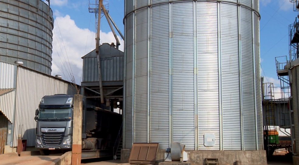Com soja nos silos, falta espaço para estocar milho e armazéns têm dificuldade  — Foto: Reprodução/EPTV 