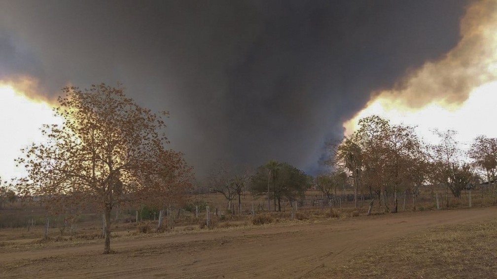 Fumaça de incêndio florestal na província de Santa Cruz, na Bolívia, na segunda-feira (9) — Foto: STR/AFP/Santa Cruz Province Government