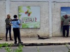 Filhote de jacaré é resgatado em rua de Manaus