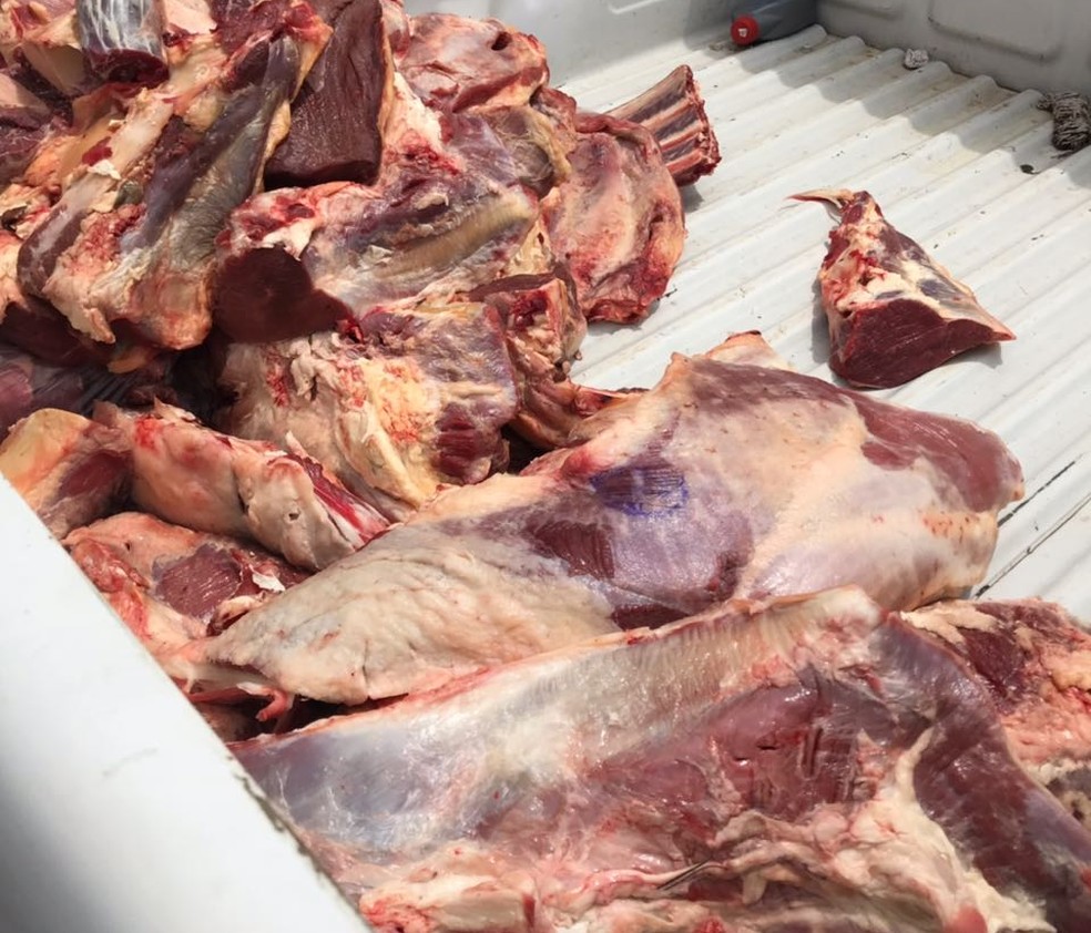 No total, 180 quilos de carne apreendida estava imprópria para consumo (Foto: Divulgação/Idaf)