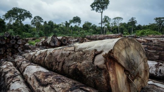 Foto: (FELIPE WERNECK/IBAMA por BBC)
