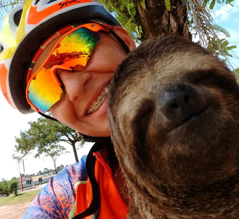 PreguiÃ§a foi encontrada por ciclista em rodovia no extremo sul da Bahia (Foto: Rita Barbosa/ Arquivo Pessoal)