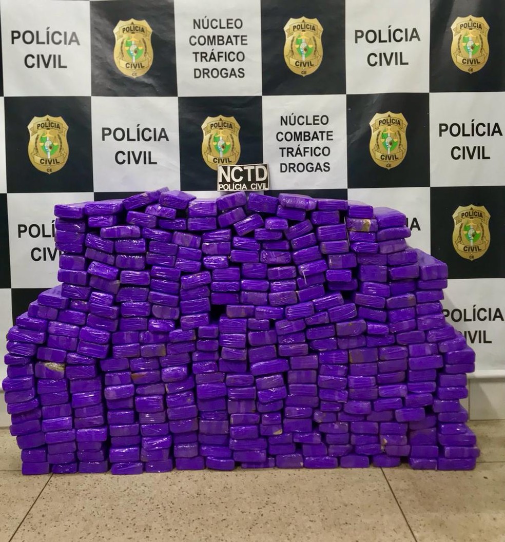 Os 200 kg de maconha estavam armazenados na carroceria do veículo — Foto: Polícia Civil