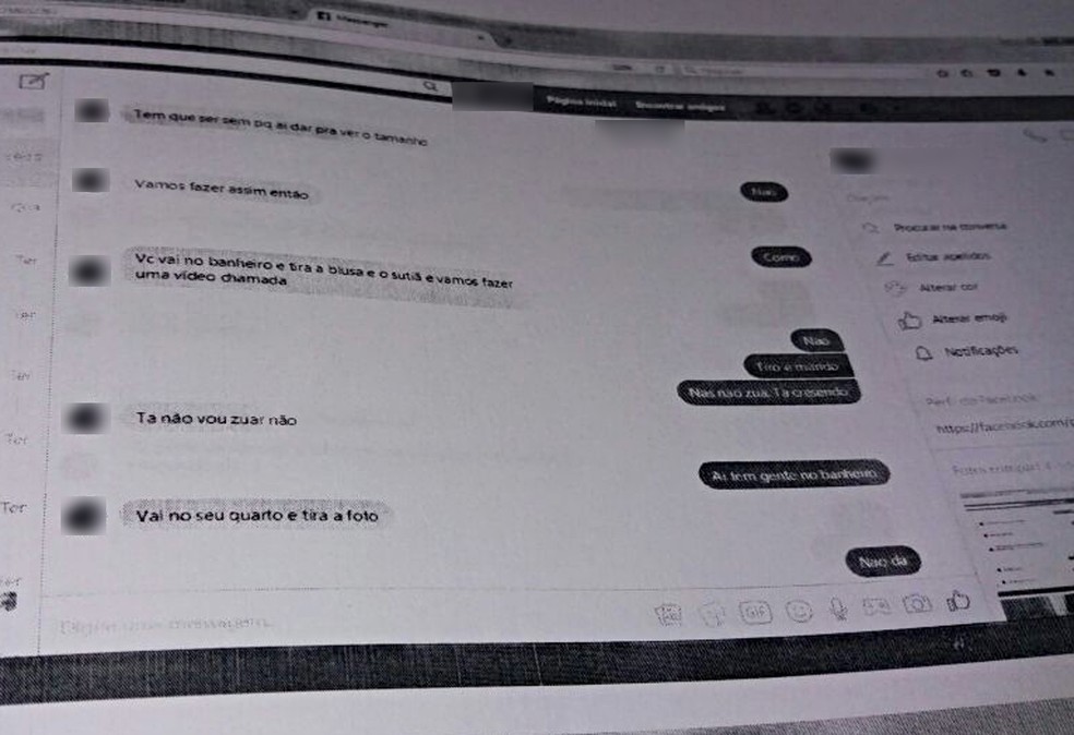 Troca de mensagens foi vista por meio do perfil da primeira vítima (Foto: Reprodução/Polícia Civil)
