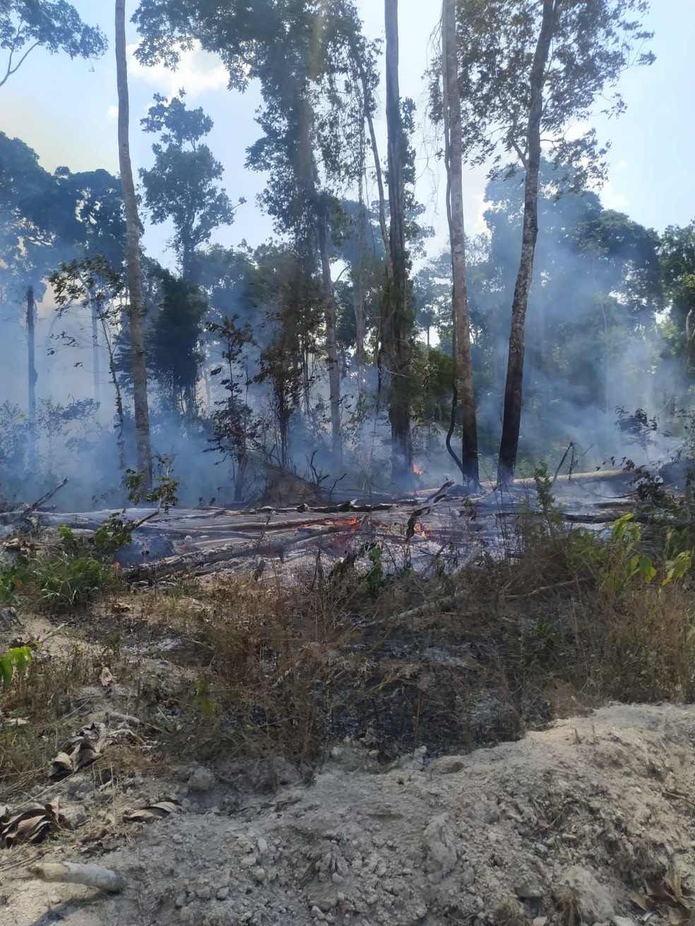 Corpo de Bombeiros atou no Parque Estadual Cristalino II, em MT &mdash; Foto: Corpo de Bombeiros/Cedida