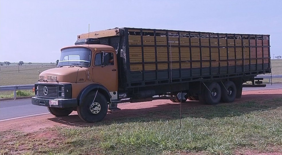 Caminhão foi abordado na madrugada desta terça-feira (16) em Espírito Santo do Turvo — Foto: Reprodução/TV TEM