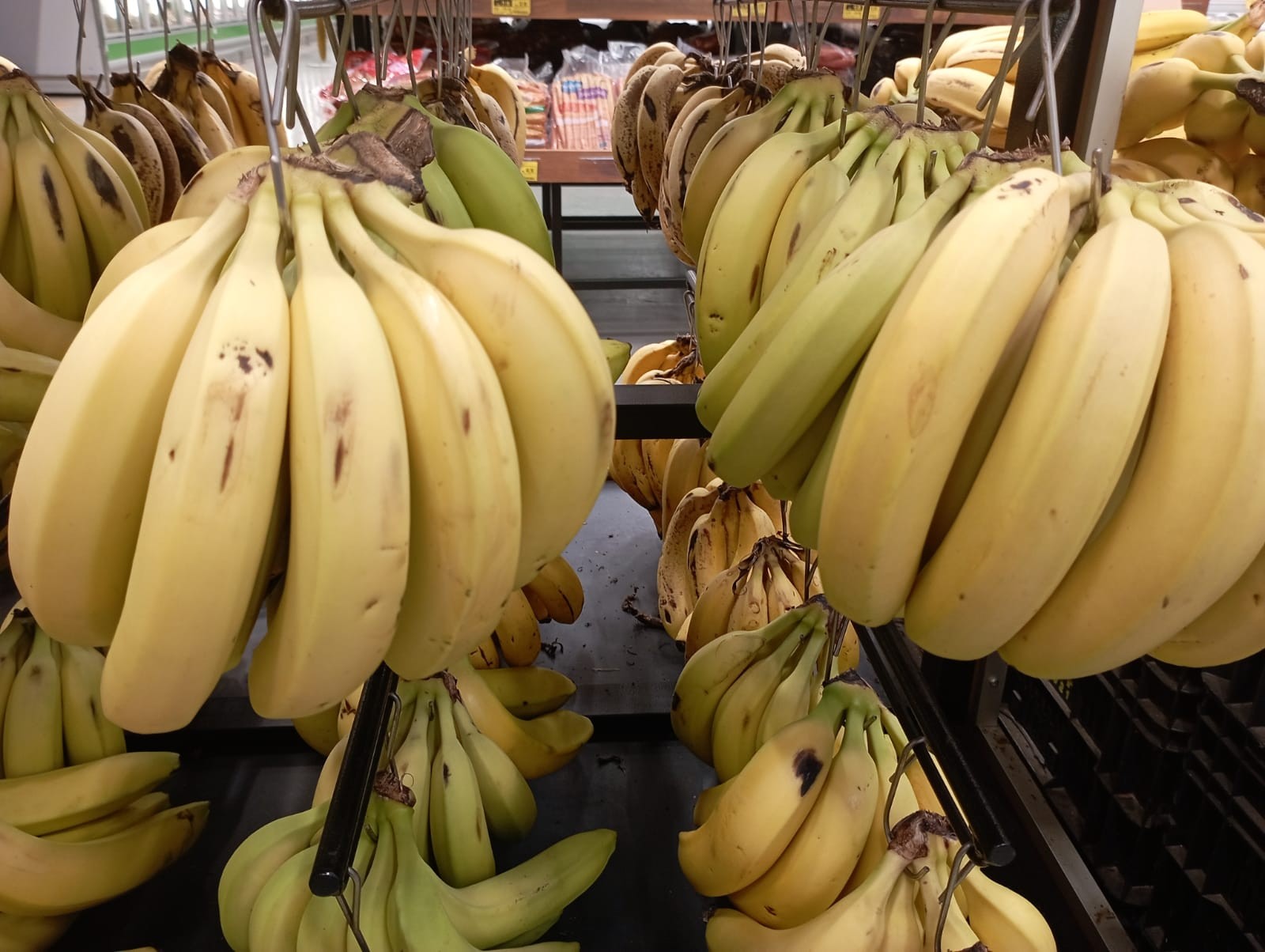 Banana estraga rápido e rende memes na internet; aprenda uma dica simples para conservar a fruta 