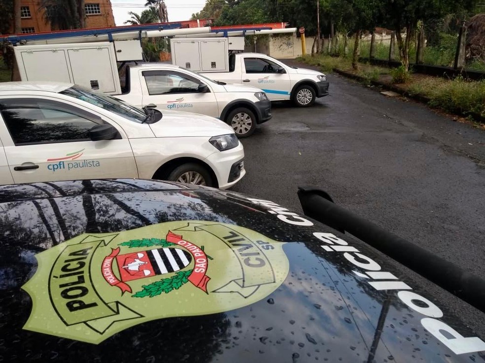 Opera&ccedil;&atilde;o foi realizada no Jardim Calif&oacute;rnia, &Aacute;gua Branca, Vila F&aacute;tima e na Estrada do Pau Queimado, que d&aacute; acesso ao distrito de Anhumas &mdash; Foto: Divulga&ccedil;&atilde;o/ Deic de Piracicaba