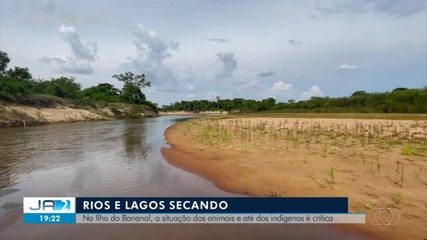 Pouca chuva na Ilha do Bananal causa seca em rios e lagos e ameaça animais