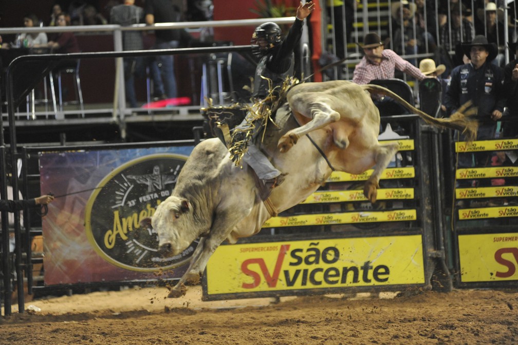 Provas de montaria em touros na Festa do Peão de Americana — Foto: Júlio Cesar Costa/G1