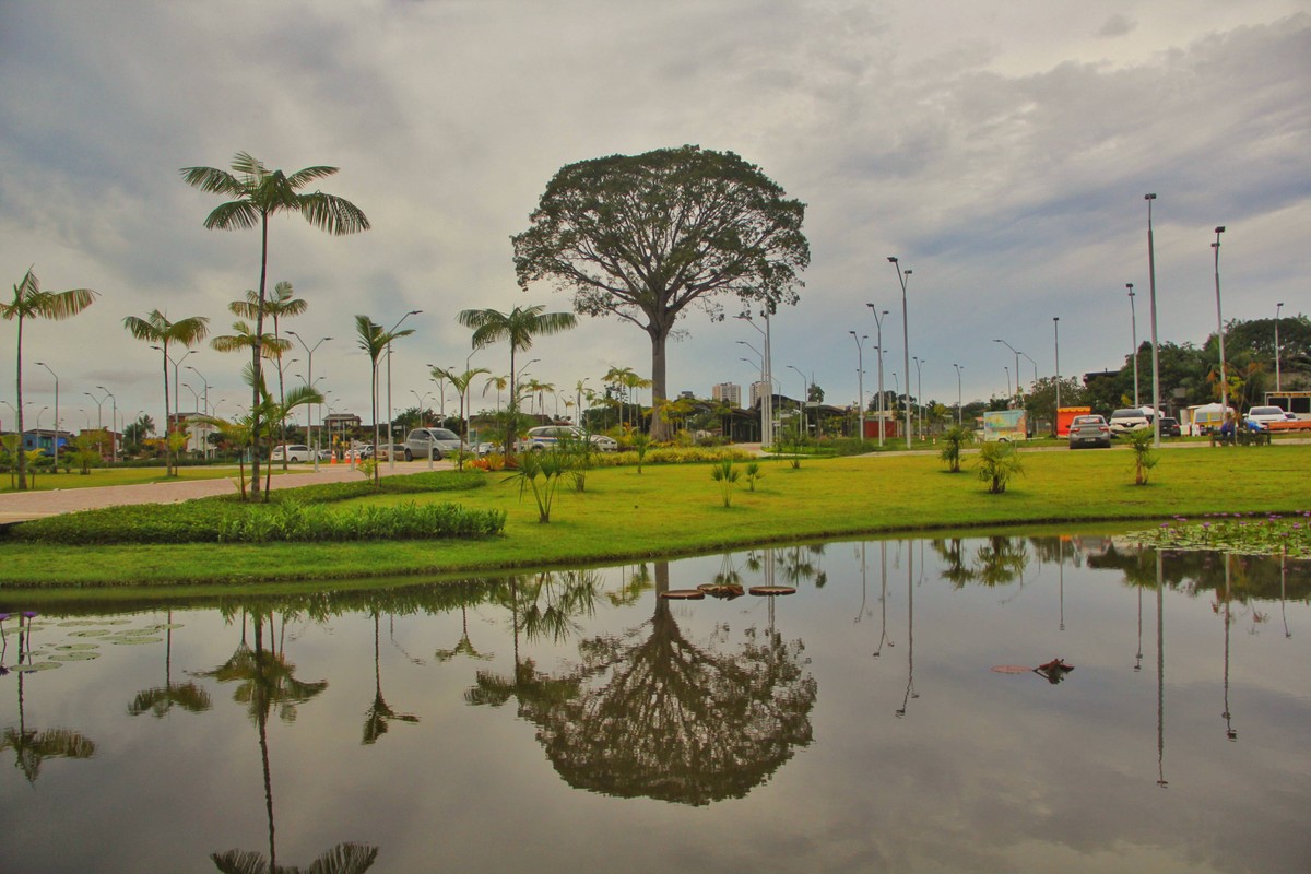 Defensoria Pública do Pará promove encontro sobre empoderamento feminino no Parque do Utinga - Vimarsana News