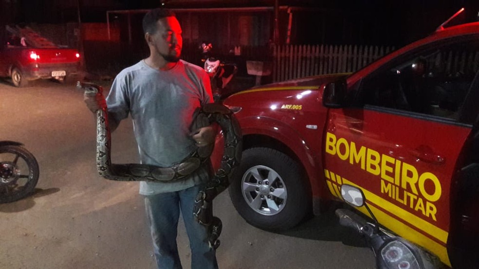 Motorista encontra jiboia de mais de 4 metros em estrada do AC e aciona bombeiros para resgate — Foto: Fernando Oliveira/Arquivo pessoal