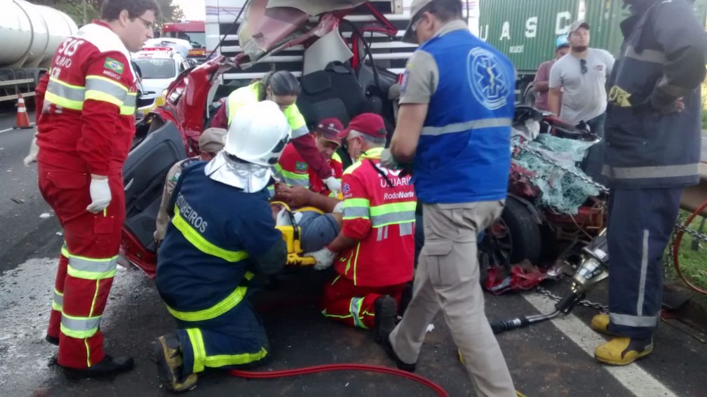 Homens do Corpo de Bombeiros e da concessionária fizeram o resgate que durou quase duas horas — Foto: Fábio Ângelo/RPC
