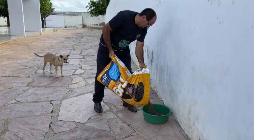 Animais estão agora em abrigo da Prefeitura de Jacobina do Piauí. — Foto: Divulgação/Prefeitura de Jacobina do Piauí