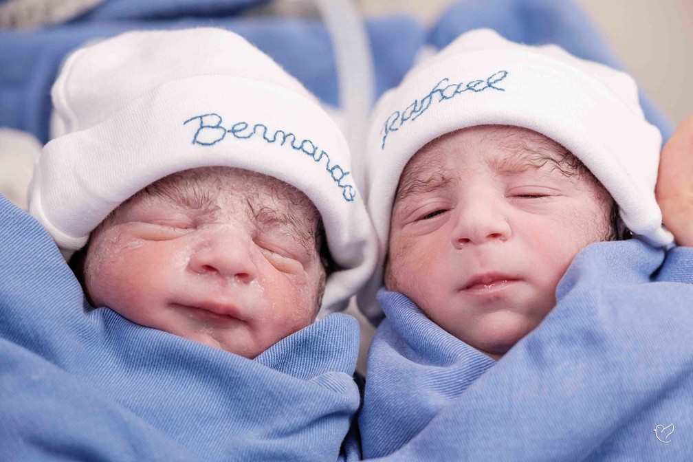 Rafael e Bernardo nasceram no dia 1° de maio — Foto: Renata Casali