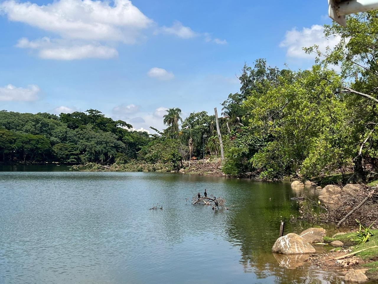 Como será a reabertura da Lagoa do Taquaral? Veja horários e o que está e não está liberado 