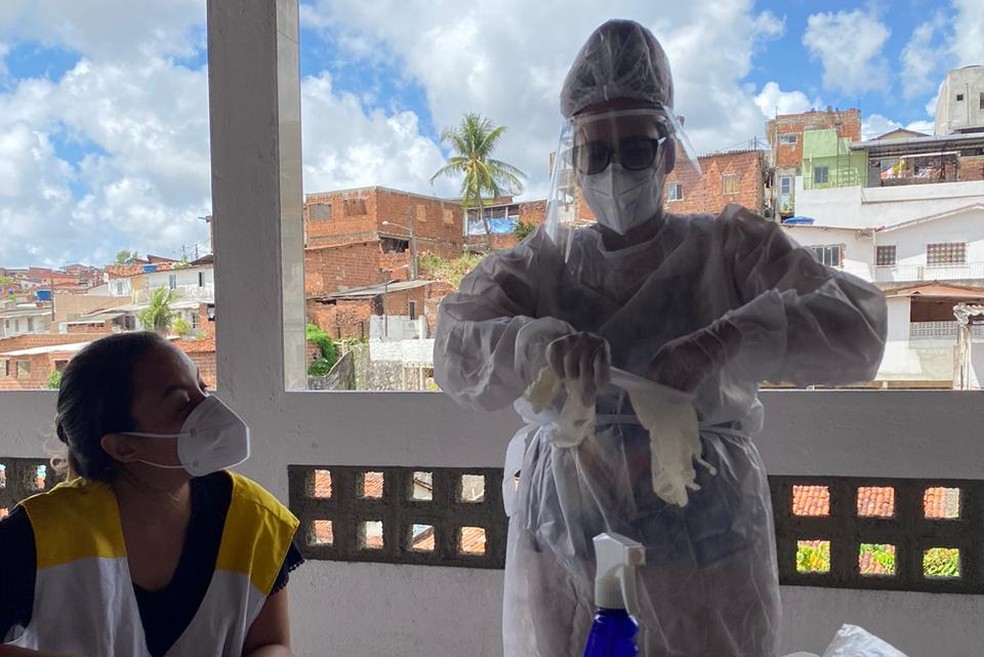 Equipe da Universidade Federal Rural de Pernambuco está pesquisando casos do novo coronavírus em animais domésticos  — Foto: Daniel Brandespin/Cortesia
