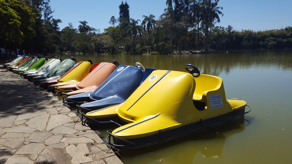 Pedalinhos no lago do Parque das Águas de São Lourenço atualmente — Foto: Fernanda Rodrigues / G1