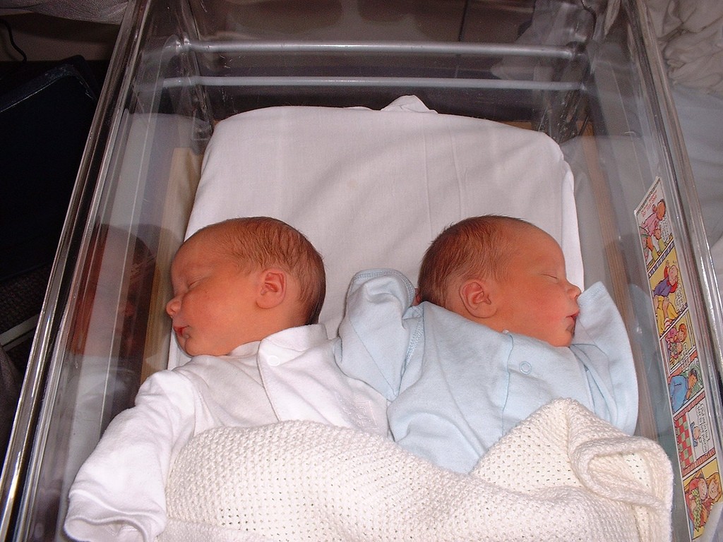 Gêmeos semi-idênticos são de sexo oposto e compartilham 100% do DNA da mãe (Foto: Flickr/Jeremy Miles/Creative Commons)