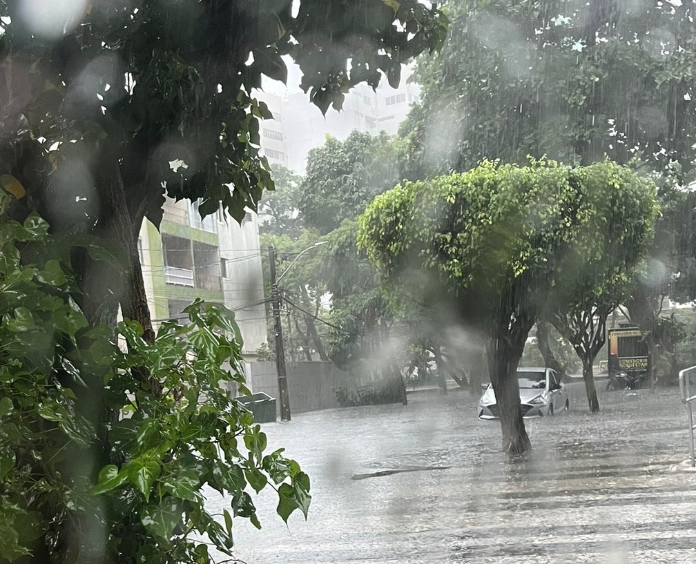 Chuva deixou ruas alagadas no Recife — Foto: Reprodução/WhatsApp