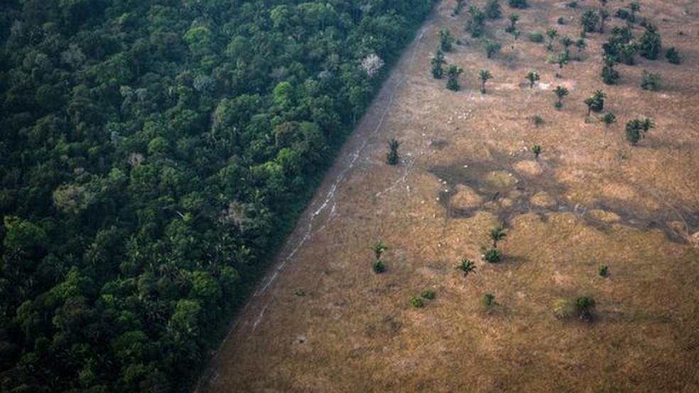 Taxa de desmatamento na Amazônia subiu nos últimos três anos — Foto: Getty Images