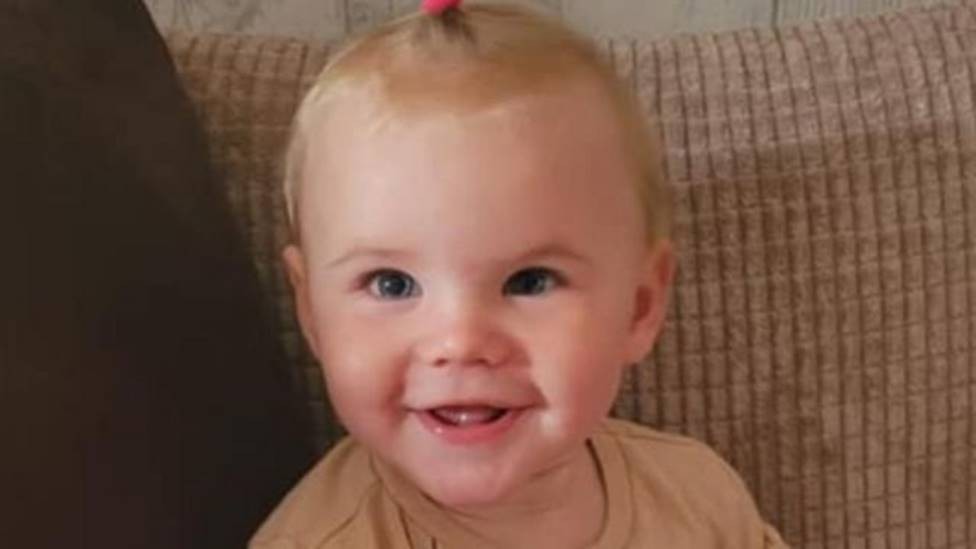 Bebê morre após ataque de cachorro comprado pela família uma semana antes