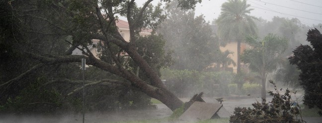 Uma árvore é arrancada durante a passagem do furacão Ian em Sarasota, Flórida — Foto: Sean Rayford / GETTY IMAGES NORTH AMERICA / Getty Images via AFP
