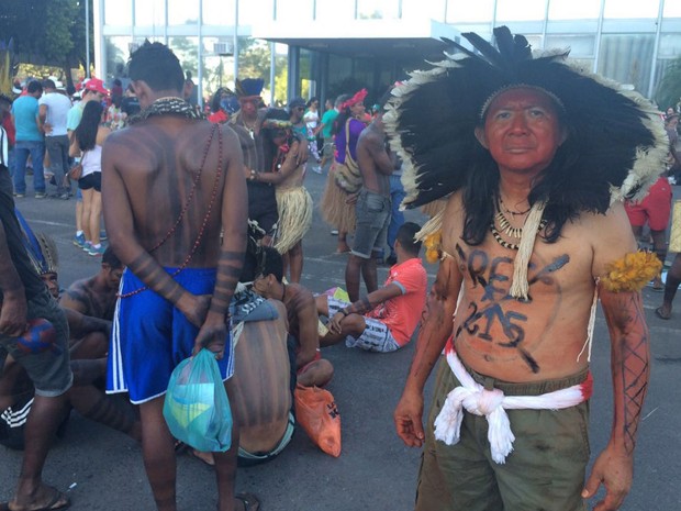 Indígena protesta em Brasília contra o impeachment da presidente Dilma Rousseff (Foto: Jamile Racanicci/G1)